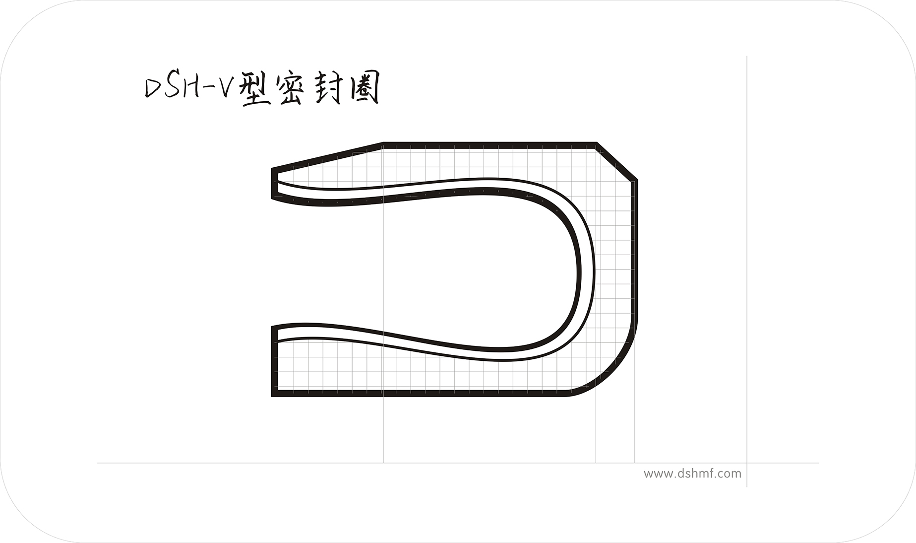 DSH-V型密封圈的截面結(jié)構圖.jpg
