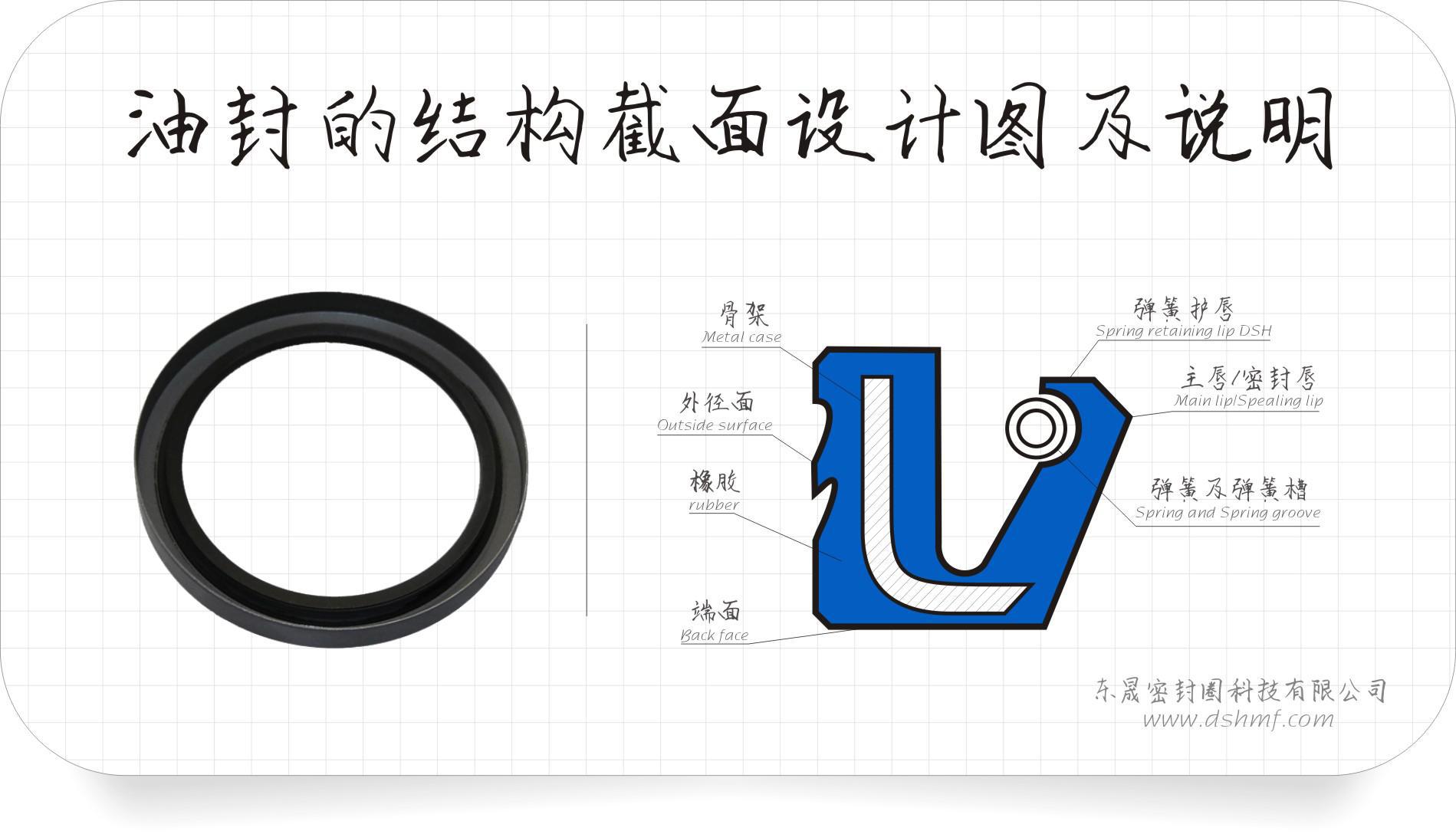 骨架油封的結(jié)構(gòu)各位術(shù)語介紹圖