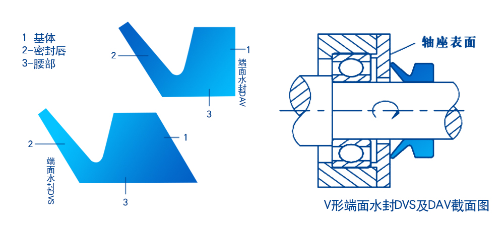 V形截面水封結構圖