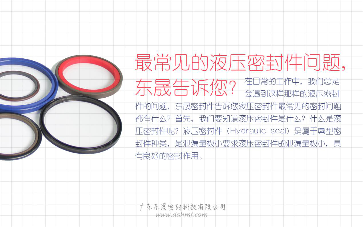 （二）液壓密封件的常見(jiàn)問(wèn)題解答？