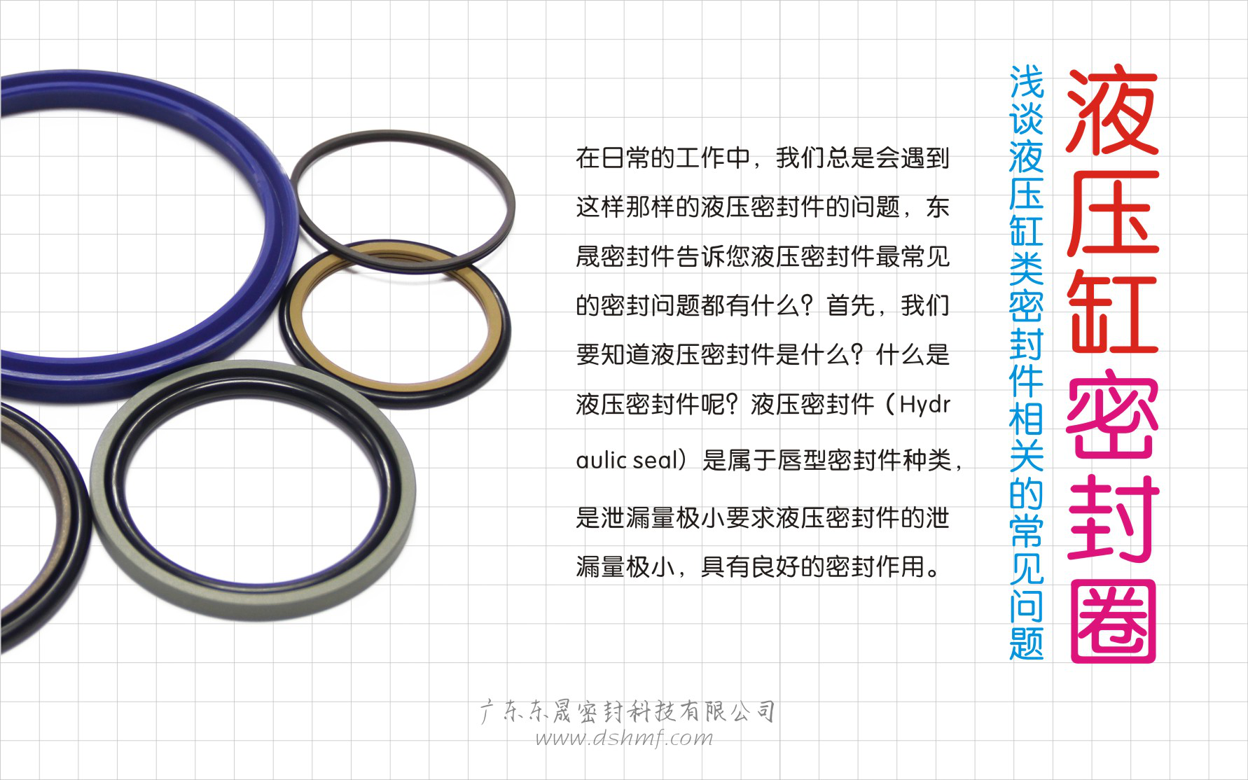 （四）淺談液壓缸類密封件相關(guān)的常見問題？