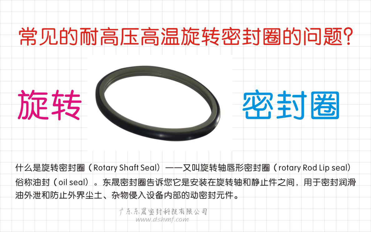 常見的耐高壓高溫旋轉(zhuǎn)密封圈的問題？之四
