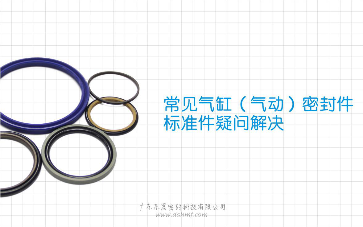 常見氣缸（氣動）密封件標準件疑問解決？