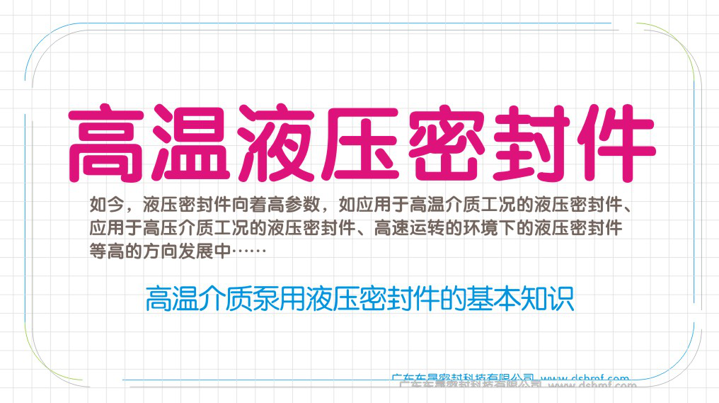 高溫介質(zhì)泵用液壓密封件的基本知識(shí)圖