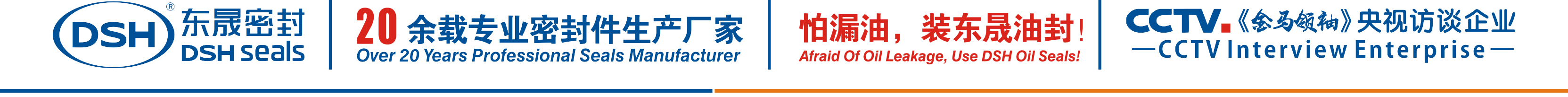 怕漏油，裝東晟油封！