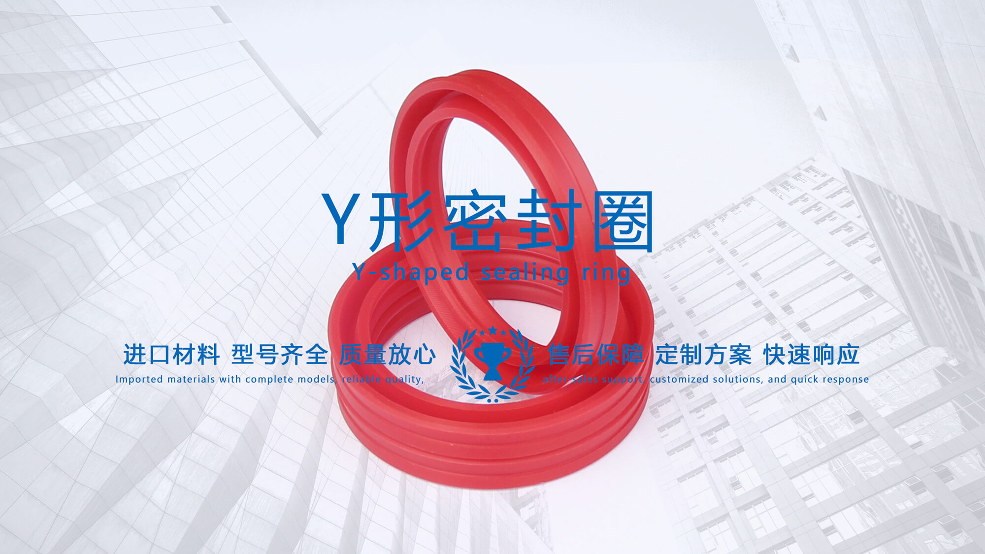 y型密封圈（又Y形密封圈，Y形圈，Y型圖或唇形密封圈，密封件油封膜片） (2)