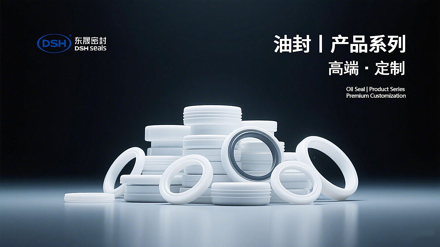 一種油封及其加工治具：高端油封產(chǎn)品系列海報(bào)1
