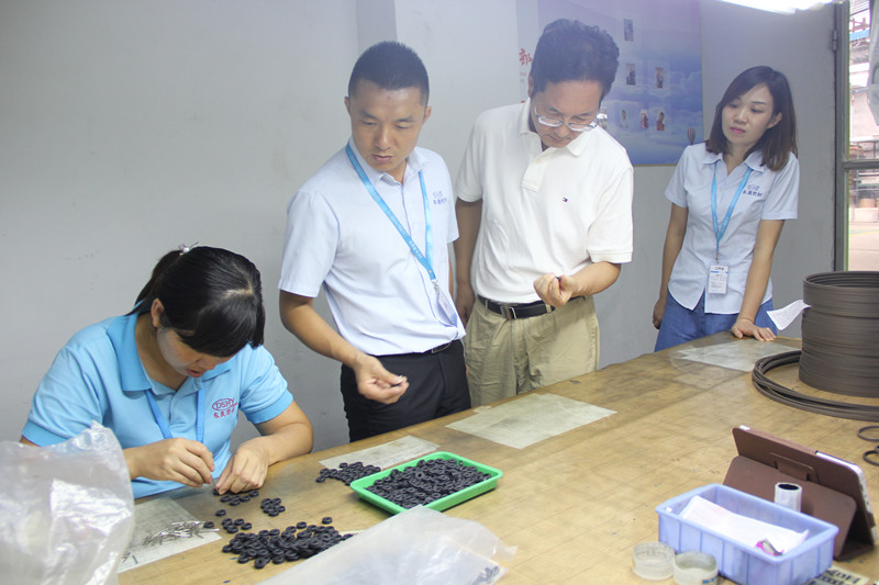 歡迎江蘇省建筑減震(結構消能減震)行業(yè)領導來訪東晟密封件廠家參觀