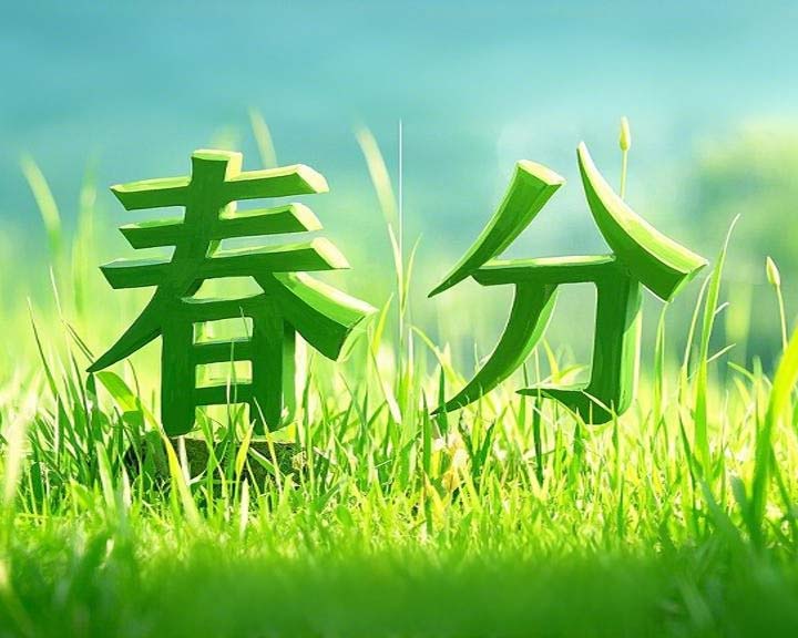春分啟衡·東晟智封丨0.01毫米的陰陽(yáng)相濟(jì)之道！