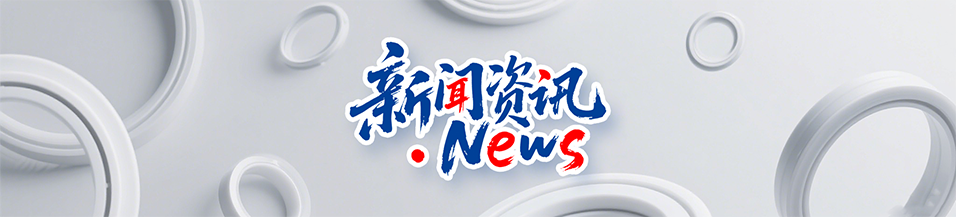 端面水封DVA密封件產(chǎn)品案例 ? 活塞桿的抗化學(xué)腐蝕應(yīng)用！