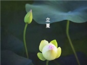 立夏已至，萬物向陽；